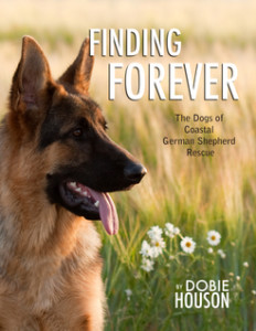 Finding Forever by Dobie Houson - Book Cover image